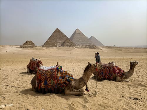 Cosa vedere al Cairo in 2 giorni: esperienze e luoghi iconici