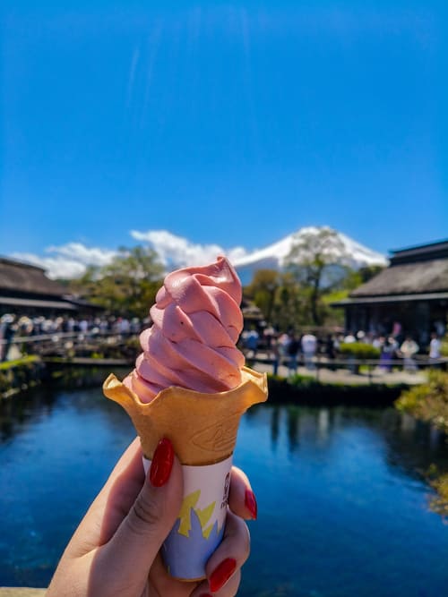 Cosa mangiare in Giappone oltre il sushi: 20 piatti da provare Gelato Cosa mangiare in Giappone oltre il sushi: 20 piatti da provare