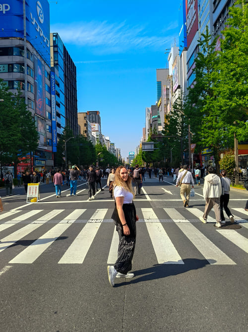 Tokyo in 5 giorni: itinerario completo e consigli utili Quartiere Akihabara Tokyo in 5 giorni: itinerario completo e consigli utili