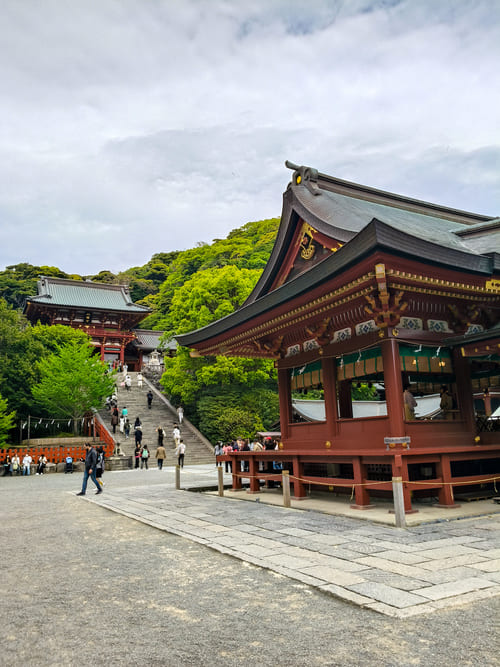 Gita di 1 giorno a Kamakura da Tokyo: tutto ciò che serve sapere Santuario Tsurugaoka Hachimangu Gita di 1 giorno a Kamakura da Tokyo: tutto ciò che serve sapere