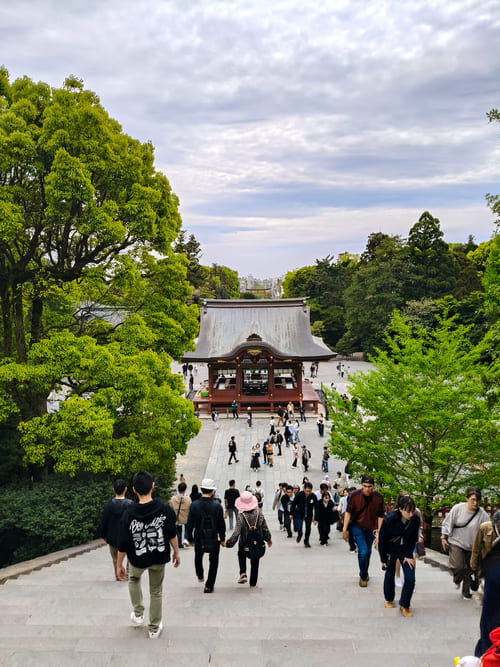 Gita di 1 giorno a Kamakura da Tokyo: tutto ciò che serve sapere Tempio Tsurugaoka Hachimangu Gita di 1 giorno a Kamakura da Tokyo: tutto ciò che serve sapere