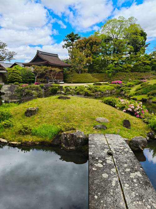 Gita di 1 giorno a Nara da Kyoto: info pratiche e itinerario completo