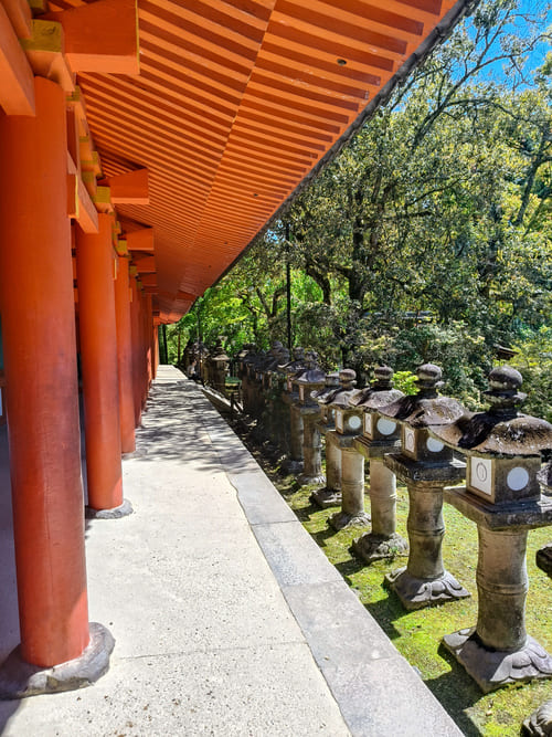 Gita di 1 giorno a Nara da Kyoto: info pratiche e itinerario completo