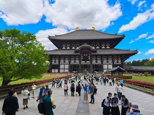 Gita di 1 giorno a Nara da Kyoto: info pratiche e itinerario completo