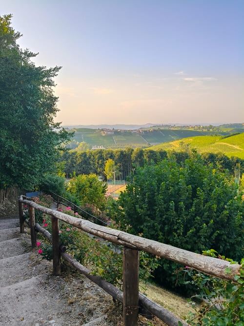 Viaggio enogastronomico nelle Langhe spendendo poco: 5 dritte IMG20250812190628 Viaggio enogastronomico nelle Langhe spendendo poco: 5 dritte
