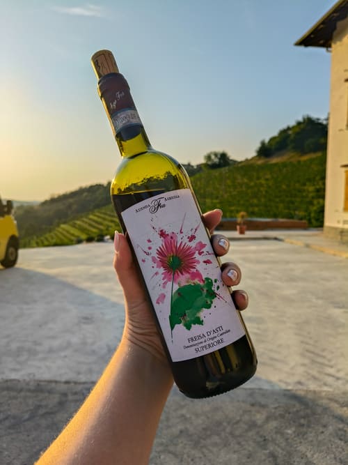 Viaggio enogastronomico nelle Langhe spendendo poco: 5 dritte IMG20250813192901 Viaggio enogastronomico nelle Langhe spendendo poco: 5 dritte