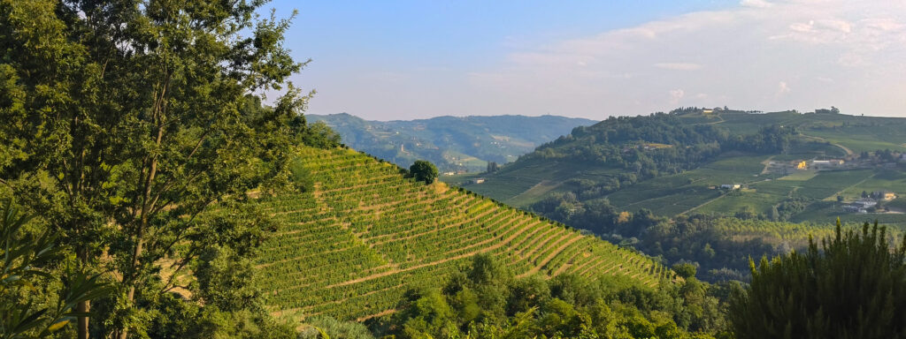 Viaggio enogastronomico nelle Langhe spendendo poco: 5 dritte Viaggio enogastronomico nelle Langhe spendendo poco Viaggio enogastronomico nelle Langhe spendendo poco